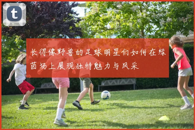 长得像野兽的足球明星们如何在绿茵场上展现独特魅力与风采