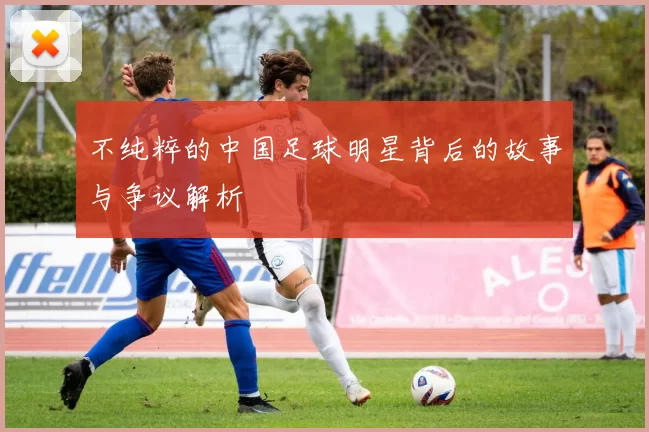 不纯粹的中国足球明星背后的故事与争议解析