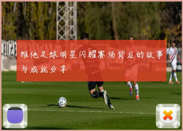 维他足球明星闪耀赛场背后的故事与成就分享