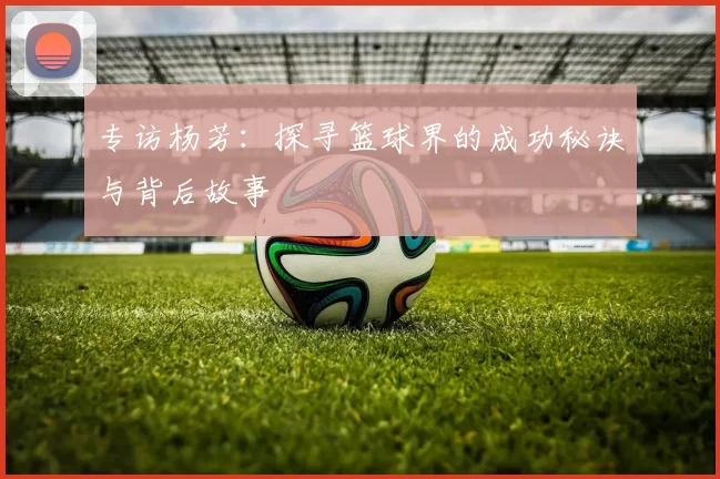 专访杨芳：探寻篮球界的成功秘诀与背后故事