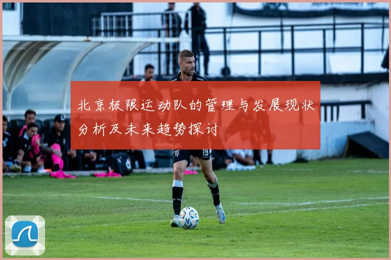 北京极限运动队的管理与发展现状分析及未来趋势探讨