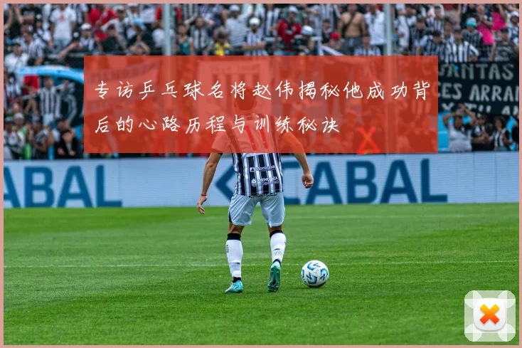 专访乒乓球名将赵伟揭秘他成功背后的心路历程与训练秘诀