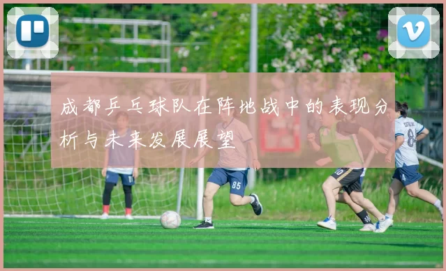成都乒乓球队在阵地战中的表现分析与未来发展展望