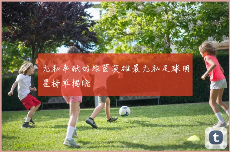 无私奉献的绿茵英雄最无私足球明星榜单揭晓