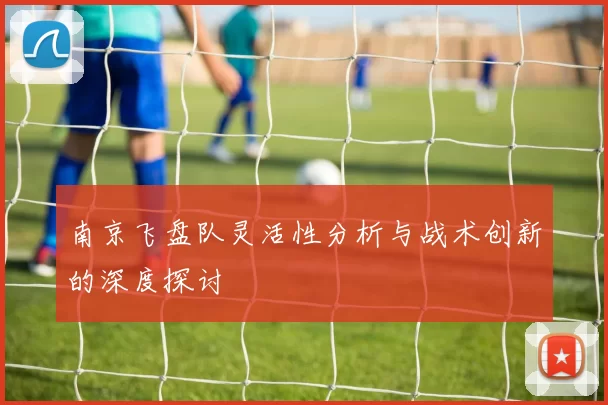南京飞盘队灵活性分析与战术创新的深度探讨