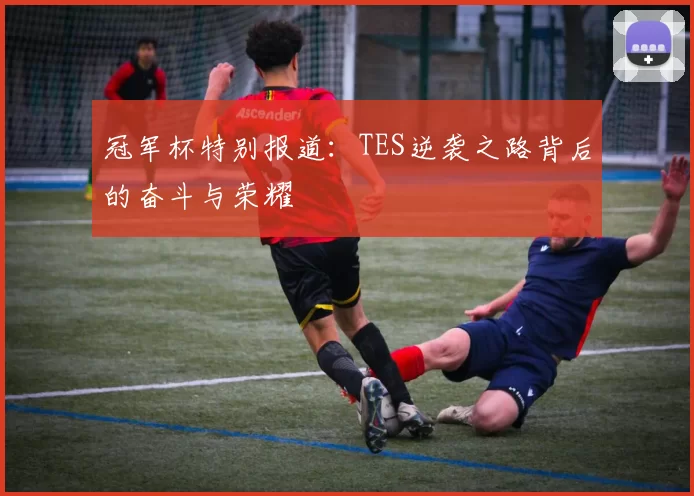 冠军杯特别报道：TES逆袭之路背后的奋斗与荣耀