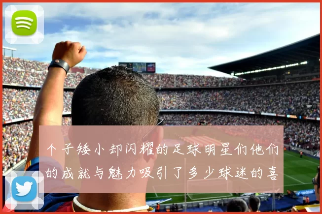 个子矮小却闪耀的足球明星们他们的成就与魅力吸引了多少球迷的喜爱