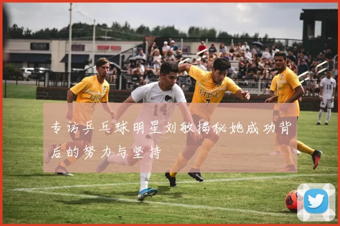 专访乒乓球明星刘敏揭秘她成功背后的努力与坚持