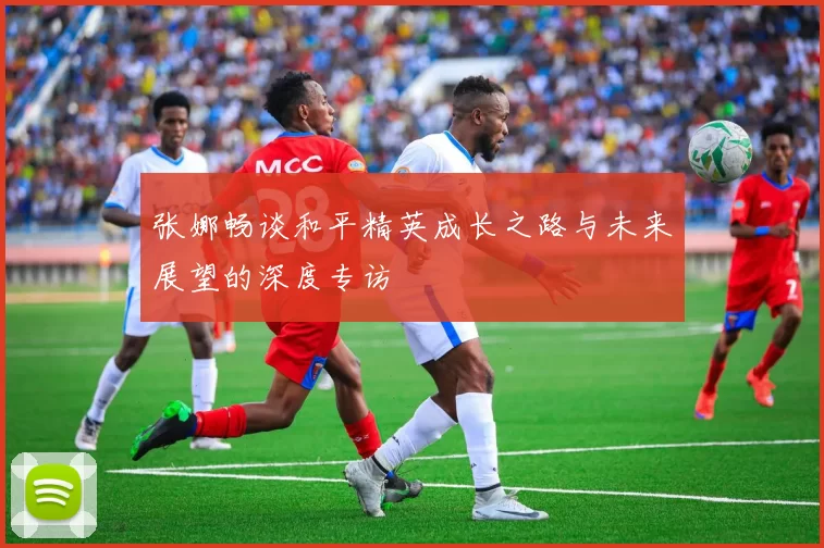 张娜畅谈和平精英成长之路与未来展望的深度专访