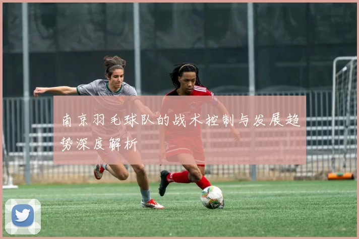 南京羽毛球队的战术控制与发展趋势深度解析