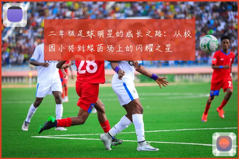 二年级足球明星的成长之路：从校园小将到绿茵场上的闪耀之星
