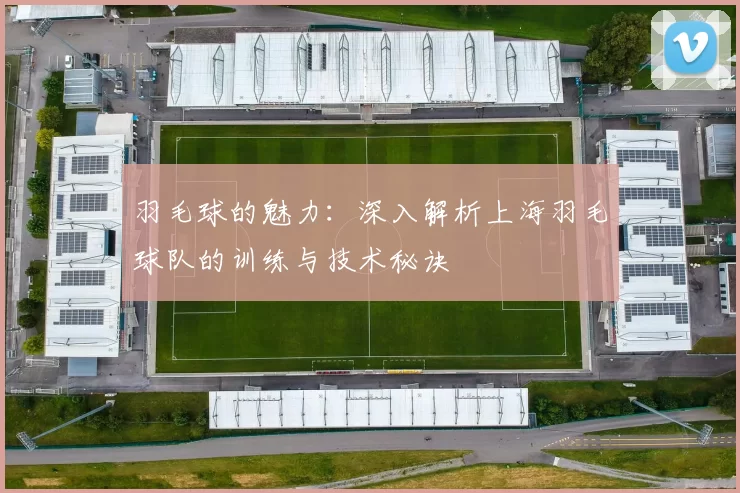 羽毛球的魅力：深入解析上海羽毛球队的训练与技术秘诀