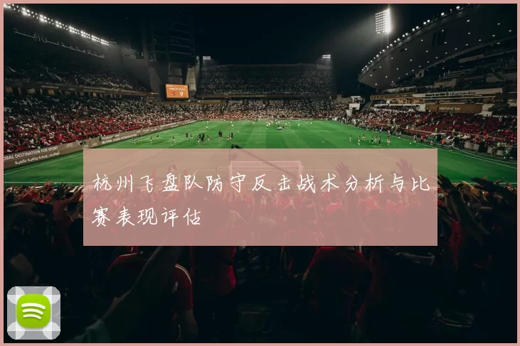 杭州飞盘队防守反击战术分析与比赛表现评估