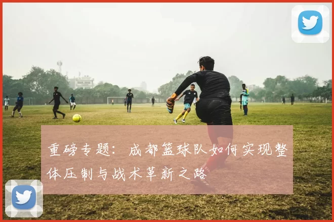 重磅专题：成都篮球队如何实现整体压制与战术革新之路