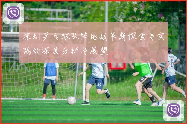 深圳乒乓球队阵地战革新探索与实践的深度分析与展望