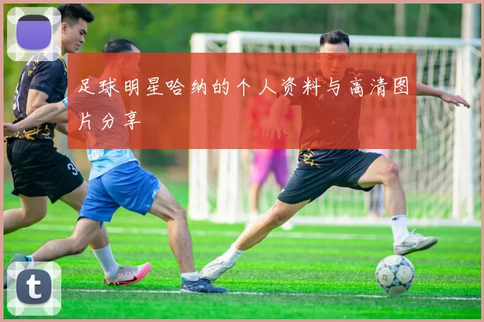足球明星哈纳的个人资料与高清图片分享