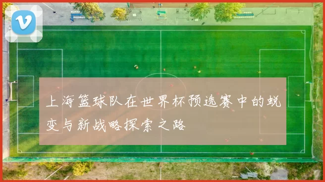 上海篮球队在世界杯预选赛中的蜕变与新战略探索之路