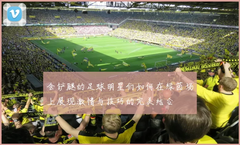 会铲腿的足球明星们如何在绿茵场上展现激情与技巧的完美结合