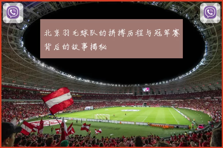 北京羽毛球队的拼搏历程与冠军赛背后的故事揭秘