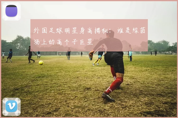 外国足球明星身高揭秘：谁是绿茵场上的高个子巨星