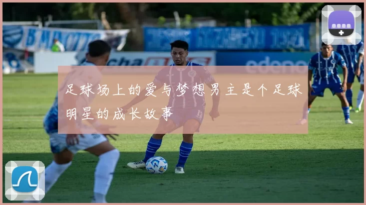 足球场上的爱与梦想男主是个足球明星的成长故事