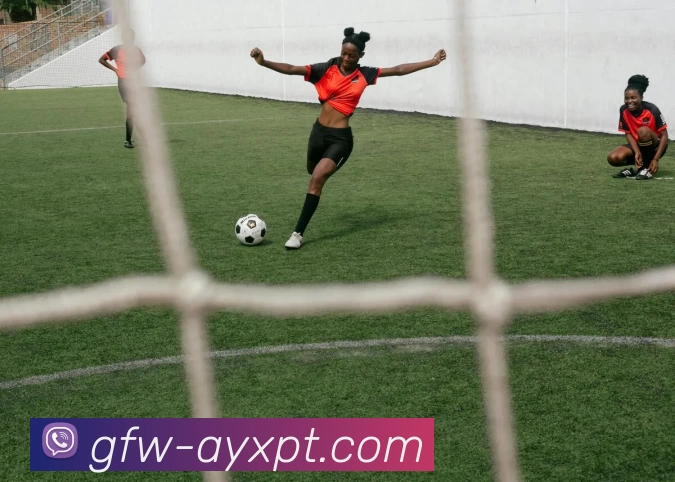 App Interface Preview